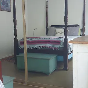 Hostel Ocean Front Vortex Female Private Free Bikes